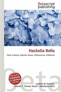 Hackelia Bella