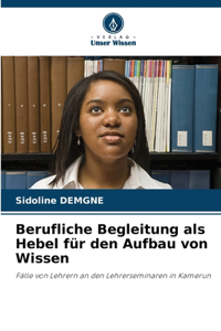 Berufliche Begleitung als Hebel für den Aufbau von Wissen