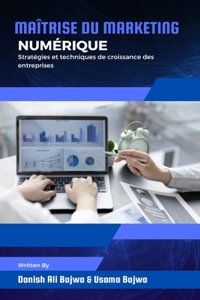 Maîtrise du marketing numérique