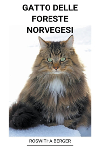 Gatto Delle Foreste Norvegesi