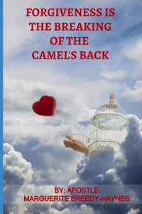 Forgiveness Is The Breaking Of The Camel's Back