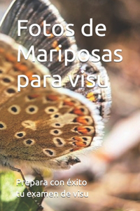 Fotos de Mariposas para visu