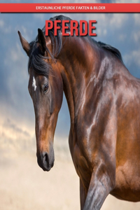 Pferde