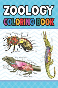 Zoology Coloring Book