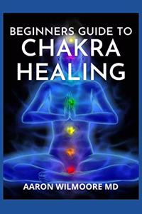 Beginners Guide to Chakra Healing