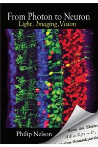 From Photon to Neuron