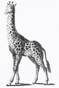 Notizbuch für Kreative