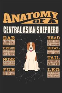 Anatomy Of A Central Asian Shepherd