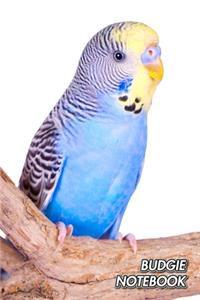 Budgie Notebook
