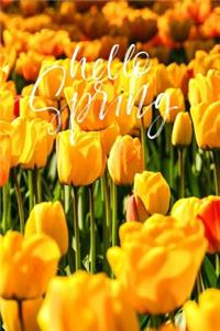 Hello Spring