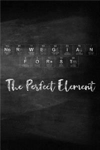 Norwegian Forest the Perfect Element