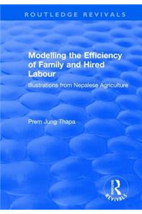 Modelling the Efficiency of Family and Hired Labour