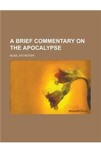 A Brief Commentary on the Apocalypse