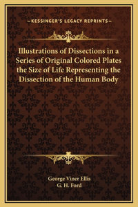 Illustrations of Dissections in a Series of Original Colored Plates the Size of Life Representing the Dissection of the Human Body