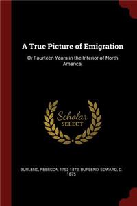 True Picture of Emigration