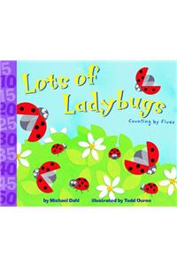 Lots of Ladybugs!