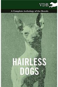 Hairless Dogs - A Complete Anthology of the Breeds