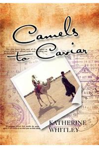 Camels to Caviar