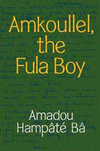 Amkoullel, the Fula Boy