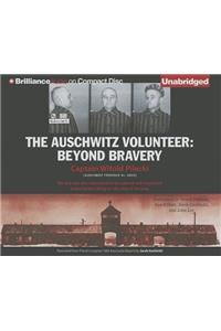 Auschwitz Volunteer