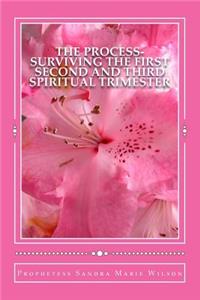 The Process-Surviving The First Second and Third Spiritual Trimester