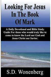 Looking For Jesus In The Book Of Mark