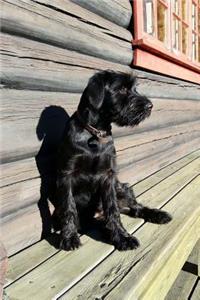 The Standard Schnauzer Dog Journal