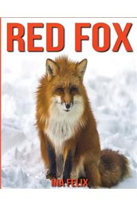 Red Fox