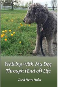 Walking With My Dog Through (End of) Life