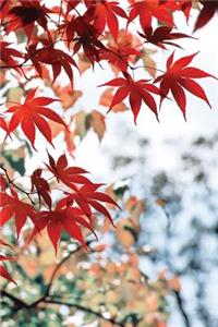 Asian Maple Leaf Grid Notebook