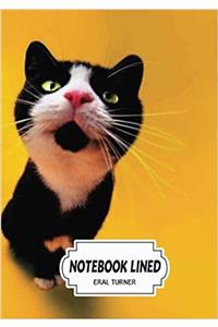 Bugging Cat Notebook: Notebook / Journal / Diary; Lined Pages