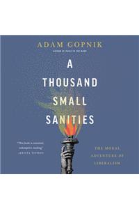 A Thousand Small Sanities Lib/E