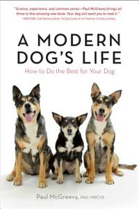 A Modern Dog's Life - How to Do the Best for Your Dog