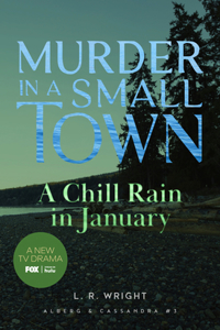 Chill Rain in January: Murder in a Small Town