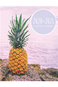 2020-2021 2 Year Planner