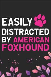 Easily Distracted by American Foxhound