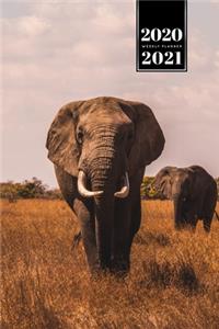 Elephant Mammoth Week Planner Weekly Organizer Calendar 2020 / 2021 - Two Friends