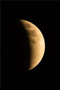 Quarter Moon Astronomy Lunar Science 2020 Daily Planner 388 Pages