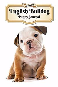 2020 English Bulldog Puppy Journal
