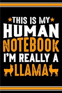 This Is My Human Notebook I'm Really a Llama