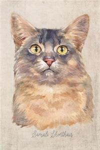 Somali Shorthair Cat Portrait Notebook