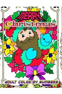 Merry Christmas Adult Color By Numbers