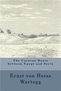 The Caravan Route between Egypt and Syria