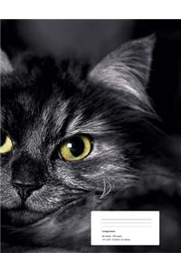 Cat's Eyes Composition Notebook