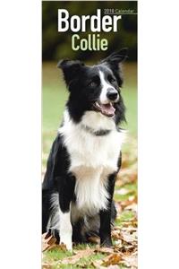 Border Collie Slim Calendar 2018 (Slim Standard)