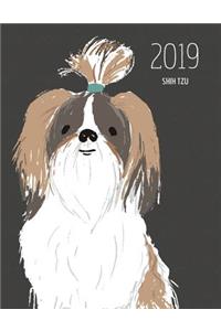 2019 Shih Tzu