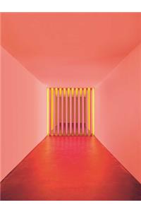 Dan Flavin: Corners, Barriers and Corridors