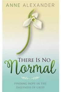 There Is No Normal