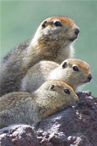 Cute Gopher Family Animal Portrait Journal