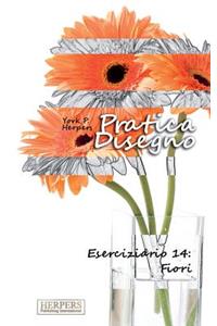 Pratica Disegno - Eserciziario 14